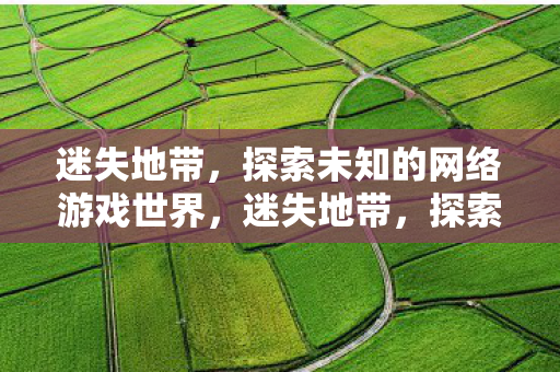 迷失地带,探索未知的网络游戏世界,迷失地带,探索未知的网络游戏世界 迷失地带,探索未知的网络游戏世界,迷失地带,探索未知的网络游戏世界