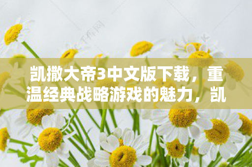 凯撒大帝3中文版下载，重温经典战略游戏的魅力，凯撒大帝3中文版下载，重温经典战略游戏魅力