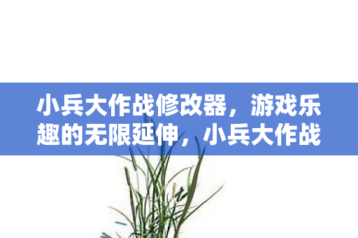 小兵大作战修改器，游戏乐趣的无限延伸，小兵大作战修改器，解锁游戏乐趣的无限可能