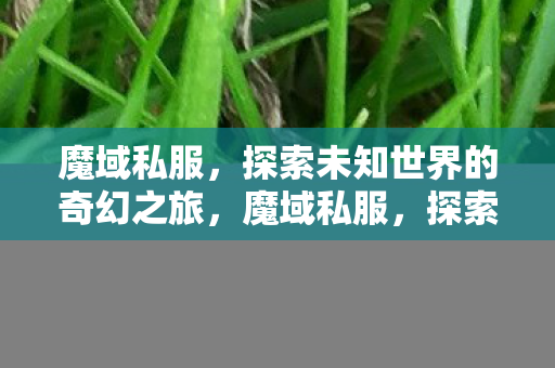 探索未知世界的奇幻之旅图片
