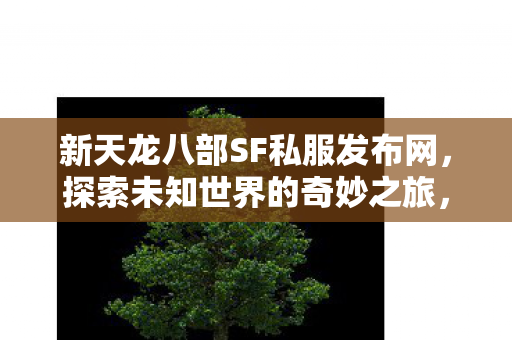 新天龙八部SF私服发布网,探索未知世界的奇妙之旅,探索新天龙八部私服世界的奇妙之旅 新天龙八部SF私服发布网,探索未知世界的奇妙之旅,探索新天龙八部私服世界的奇妙之旅