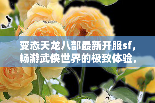 变态天龙八部最新开服sf,畅游武侠世界的极致体验,变态天龙八部最新私服,开启武侠世界极致冒险之旅 变态天龙八部最新开服sf,畅游武侠世界的极致体验,变态天龙八部最新私服,开启武侠世界极致冒险之旅
