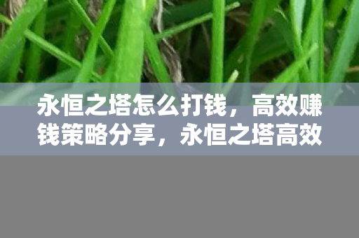 永恒之塔怎么打钱,高效赚钱策略分享,永恒之塔高效赚钱攻略,打造财富之路 永恒之塔怎么打钱,高效赚钱策略分享,永恒之塔高效赚钱攻略,打造财富之路