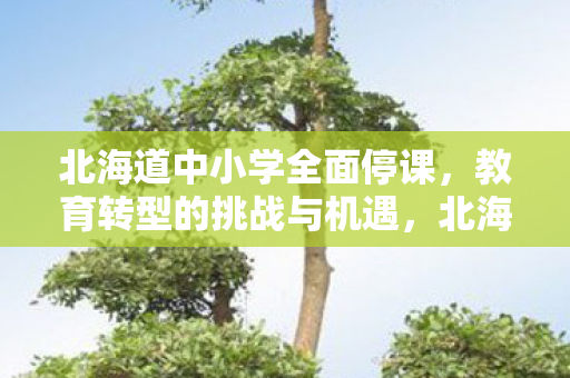 北海道中小学全面停课,教育转型的挑战与机遇,北海道中小学全面停课,教育转型的挑战与机遇 北海道中小学全面停课,教育转型的挑战与机遇,北海道中小学全面停课,教育转型的挑战与机遇