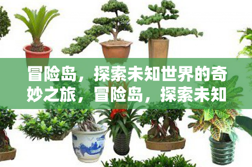 探索未知世界的奇妙之旅图片