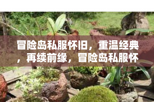 冒险岛私服怀旧,重温经典,再续前缘,冒险岛私服怀旧,重温经典,再续前缘 冒险岛私服怀旧,重温经典,再续前缘,冒险岛私服怀旧,重温经典,再续前缘