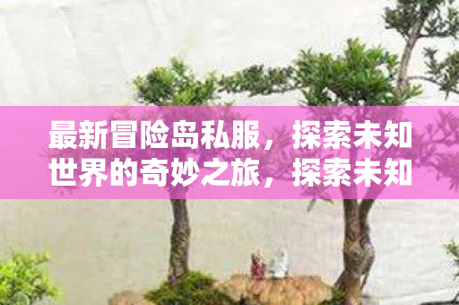 最新冒险岛私服，探索未知世界的奇妙之旅，探索未知世界的奇妙之旅，最新冒险岛私服