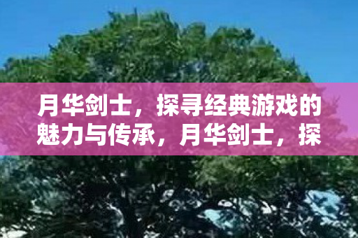 月华剑士,探寻经典游戏的魅力与传承,月华剑士,探寻经典游戏的魅力与传承 月华剑士,探寻经典游戏的魅力与传承,月华剑士,探寻经典游戏的魅力与传承