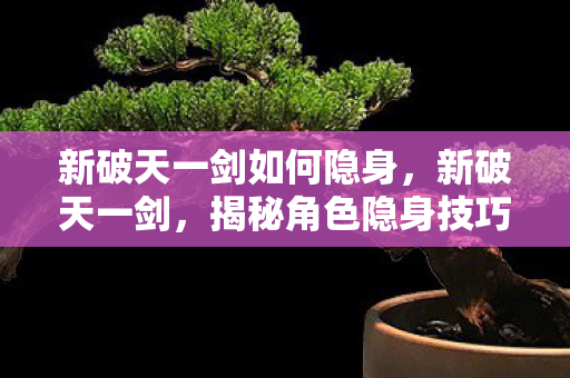新破天一剑如何隐身,新破天一剑,揭秘角色隐身技巧 新破天一剑如何隐身,新破天一剑,揭秘角色隐身技巧