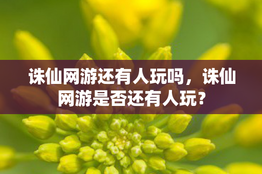 诛仙网游还有人玩吗,诛仙网游是否还有人玩? 诛仙网游还有人玩吗,诛仙网游是否还有人玩?