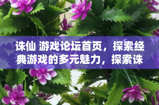 诛仙 游戏论坛首页,探索经典游戏的多元魅力,探索诛仙游戏多元魅力,畅游论坛首页 诛仙 游戏论坛首页,探索经典游戏的多元魅力,探索诛仙游戏多元魅力,畅游论坛首页