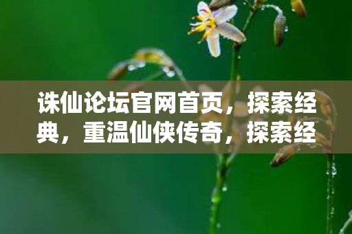 诛仙论坛官网首页,探索经典,重温仙侠传奇,探索经典重温仙侠传奇,诛仙论坛官网首页 诛仙论坛官网首页,探索经典,重温仙侠传奇,探索经典重温仙侠传奇,诛仙论坛官网首页
