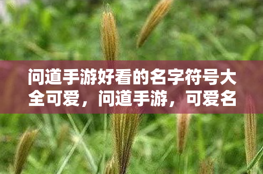问道手游好看的名字符号大全可爱图片