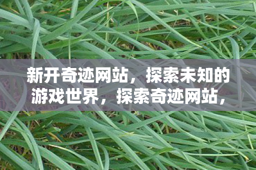 开启未知游戏世界之旅图片