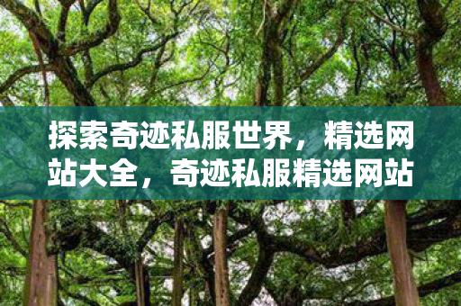 奇迹私服精选网站全解析图片