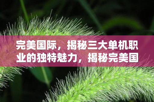 完美国际，揭秘三大单机职业的独特魅力，揭秘完美国际三大单机职业的独特魅力