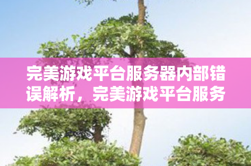 完美游戏平台服务器内部错误解析,完美游戏平台服务器内部错误解析 完美游戏平台服务器内部错误解析,完美游戏平台服务器内部错误解析