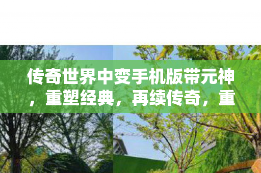 传奇世界中变手机版带元神,重塑经典,再续传奇,重塑经典再续传奇,传奇世界中变手机版带元神 传奇世界中变手机版带元神,重塑经典,再续传奇,重塑经典再续传奇,传奇世界中变手机版带元神
