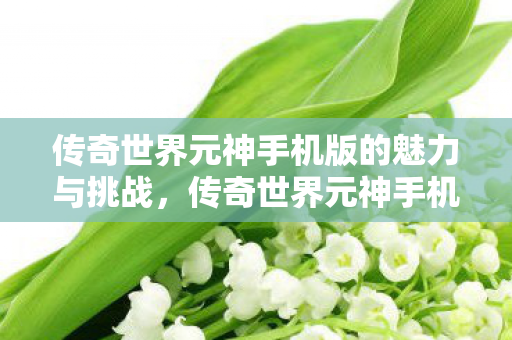 传奇世界元神手机版的魅力与挑战,传奇世界元神手机版,魅力与挑战并存 传奇世界元神手机版的魅力与挑战,传奇世界元神手机版,魅力与挑战并存