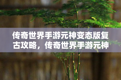 传奇世界手游元神变态版复古版攻略图片