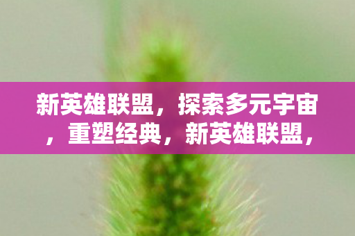 新英雄联盟，探索多元宇宙，重塑经典，新英雄联盟，探索多元宇宙，重塑经典