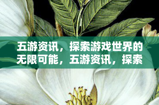 五游资讯，探索游戏世界的无限可能，五游资讯，探索游戏世界的无限可能