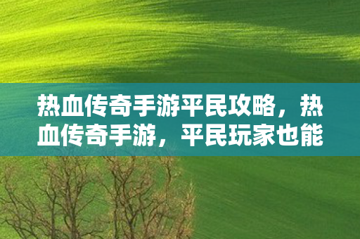 热血传奇手游平民攻略,热血传奇手游,平民玩家也能玩转游戏! 热血传奇手游平民攻略,热血传奇手游,平民玩家也能玩转游戏!
