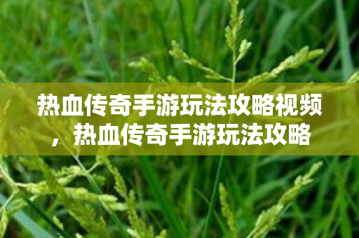 热血传奇手游玩法攻略视频,热血传奇手游玩法攻略 热血传奇手游玩法攻略视频,热血传奇手游玩法攻略