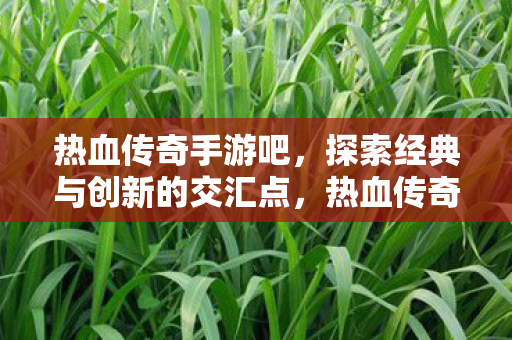 热血传奇手游吧,探索经典与创新的交汇点,热血传奇手游,经典与创新交汇的探索之旅 热血传奇手游吧,探索经典与创新的交汇点,热血传奇手游,经典与创新交汇的探索之旅