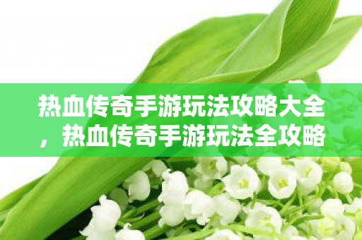 热血传奇手游玩法攻略大全图片
