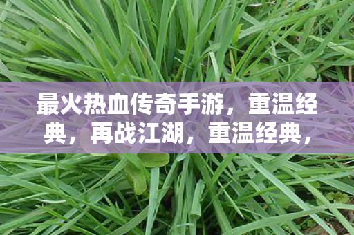 最火热血传奇手游,重温经典,再战江湖,重温经典,再战江湖,最火热血传奇手游来袭 最火热血传奇手游,重温经典,再战江湖,重温经典,再战江湖,最火热血传奇手游来袭