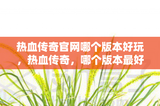 热血传奇官网哪个版本好玩,热血传奇,哪个版本最好玩? 热血传奇官网哪个版本好玩,热血传奇,哪个版本最好玩?