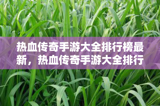 热血传奇手游大全排行榜最新,热血传奇手游大全排行榜最新,哪些游戏值得一试? 热血传奇手游大全排行榜最新,热血传奇手游大全排行榜最新,哪些游戏值得一试?