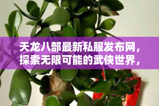 天龙八部最新私服发布网,探索无限可能的武侠世界,天龙八部私服发布,探索武侠世界的无限可能 天龙八部最新私服发布网,探索无限可能的武侠世界,天龙八部私服发布,探索武侠世界的无限可能