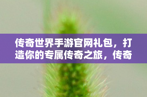传奇世界手游官网礼包,打造你的专属传奇之旅,传奇世界手游官网礼包,打造专属传奇之旅 传奇世界手游官网礼包,打造你的专属传奇之旅,传奇世界手游官网礼包,打造专属传奇之旅