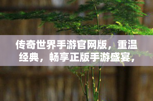 传奇世界手游官网版,重温经典,畅享正版手游盛宴,重温经典,畅享正版手游盛宴,传奇世界手游官网版来袭 传奇世界手游官网版,重温经典,畅享正版手游盛宴,重温经典,畅享正版手游盛宴,传奇世界手游官网版来袭