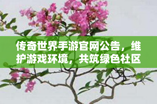 传奇世界手游官网公告,维护游戏环境,共筑绿色社区,传奇世界手游,维护游戏环境,共筑绿色社区 传奇世界手游官网公告,维护游戏环境,共筑绿色社区,传奇世界手游,维护游戏环境,共筑绿色社区