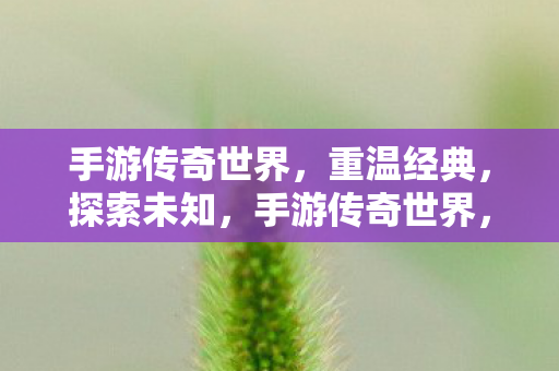 手游传奇世界,重温经典,探索未知,手游传奇世界,重温经典,探索未知之旅 手游传奇世界,重温经典,探索未知,手游传奇世界,重温经典,探索未知之旅