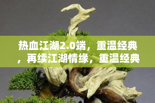 热血江湖2.0端,重温经典,再续江湖情缘,重温经典再续江湖情缘,热血江湖2.0端来袭 热血江湖2.0端,重温经典,再续江湖情缘,重温经典再续江湖情缘,热血江湖2.0端来袭