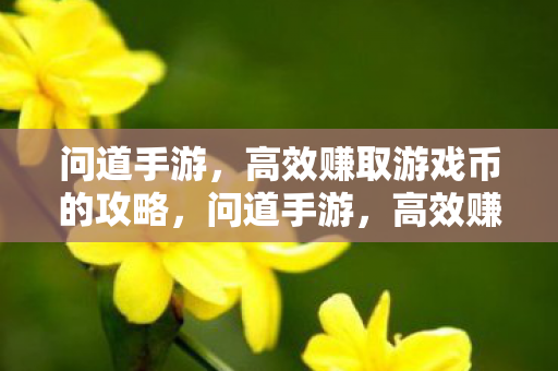 问道手游,高效赚取游戏币的攻略,问道手游,高效赚取游戏币的攻略 问道手游,高效赚取游戏币的攻略,问道手游,高效赚取游戏币的攻略
