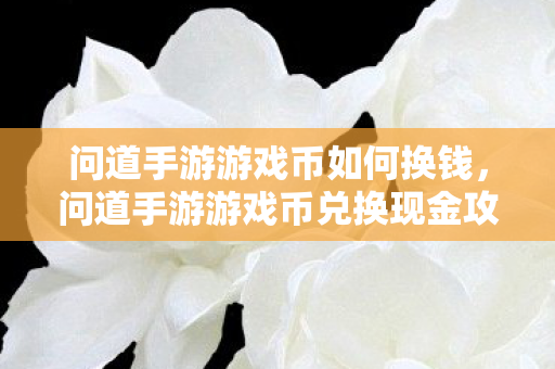 问道手游游戏币兑换现金攻略图片