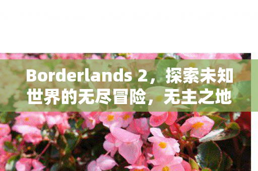 Borderlands 2,探索未知世界的无尽冒险,无主之地2,探索未知世界的无尽冒险 Borderlands 2,探索未知世界的无尽冒险,无主之地2,探索未知世界的无尽冒险