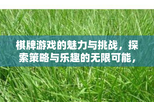 棋牌游戏的魅力与挑战,探索策略与乐趣的无限可能,棋牌游戏的魅力与挑战,探索策略与乐趣的无限可能 棋牌游戏的魅力与挑战,探索策略与乐趣的无限可能,棋牌游戏的魅力与挑战,探索策略与乐趣的无限可能