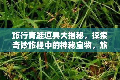 旅行青蛙道具大揭秘,探索奇妙旅程中的神秘宝物,旅行青蛙道具揭秘,探索奇妙旅程中的神秘宝物 旅行青蛙道具大揭秘,探索奇妙旅程中的神秘宝物,旅行青蛙道具揭秘,探索奇妙旅程中的神秘宝物
