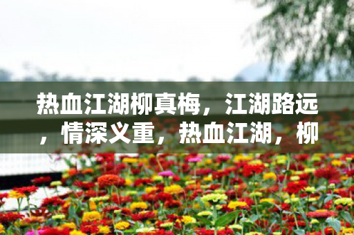 热血江湖柳真梅,江湖路远,情深义重,热血江湖,柳真梅情深义重,江湖路远 热血江湖柳真梅,江湖路远,情深义重,热血江湖,柳真梅情深义重,江湖路远