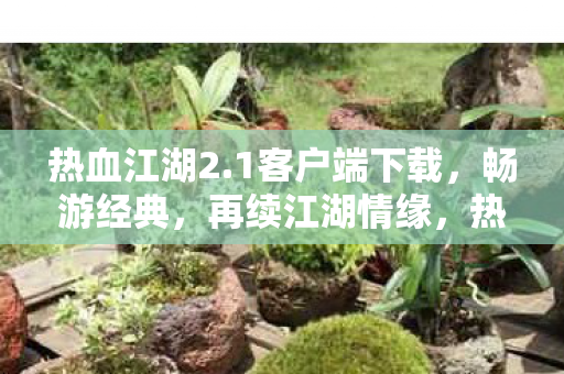 热血江湖2.1客户端下载,畅游经典,再续江湖情缘,热血江湖2.1客户端下载,重温经典,续写江湖传奇 热血江湖2.1客户端下载,畅游经典,再续江湖情缘,热血江湖2.1客户端下载,重温经典,续写江湖传奇