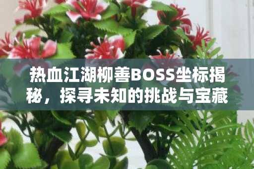 热血江湖柳善BOSS坐标揭秘,探寻未知的挑战与宝藏,热血江湖,柳善BOSS坐标大揭秘,挑战与宝藏等你探寻 热血江湖柳善BOSS坐标揭秘,探寻未知的挑战与宝藏,热血江湖,柳善BOSS坐标大揭秘,挑战与宝藏等你探寻