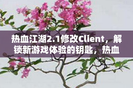 热血江湖2.1修改Client,解锁新游戏体验的钥匙,热血江湖2.1修改Client,解锁新游戏体验的钥匙 热血江湖2.1修改Client,解锁新游戏体验的钥匙,热血江湖2.1修改Client,解锁新游戏体验的钥匙