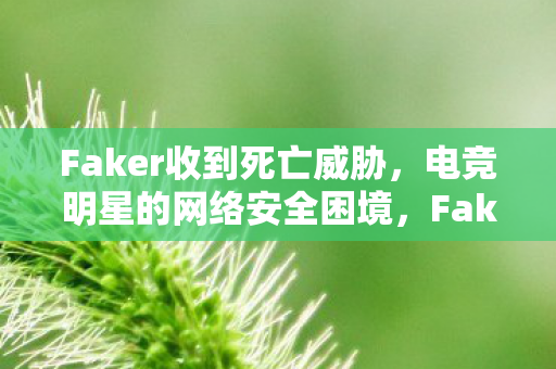 Faker收到死亡威胁,电竞明星的网络安全困境,Faker遭死亡威胁,电竞明星的网络安全困境 Faker收到死亡威胁,电竞明星的网络安全困境,Faker遭死亡威胁,电竞明星的网络安全困境