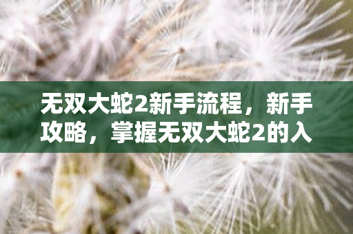 无双大蛇2新手流程,新手攻略,掌握无双大蛇2的入门流程 无双大蛇2新手流程,新手攻略,掌握无双大蛇2的入门流程